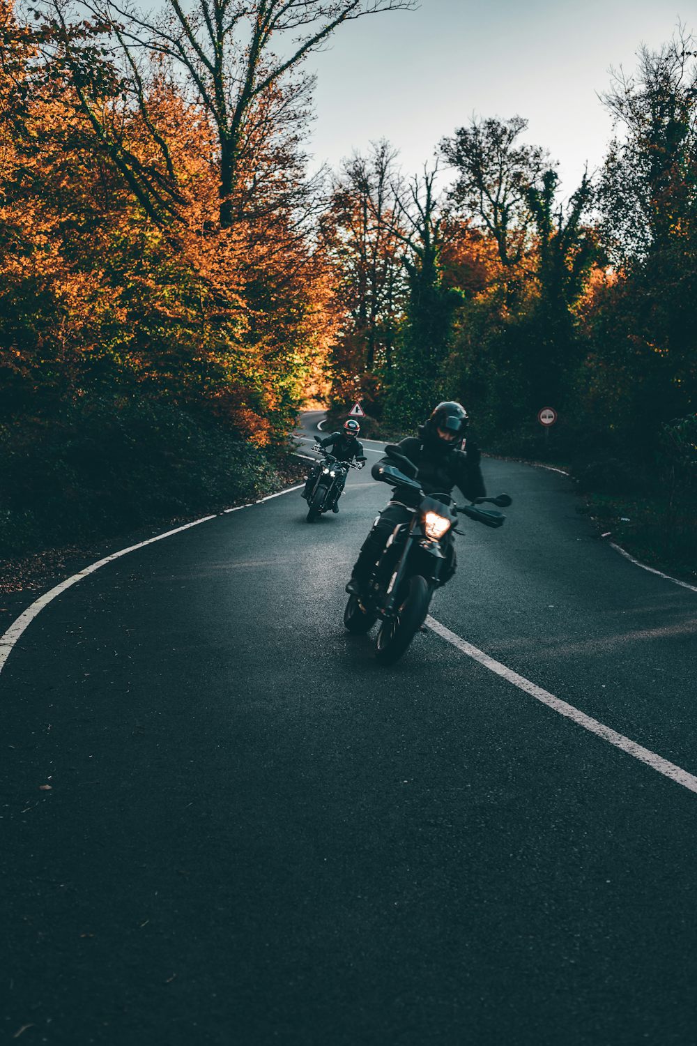 Two motorcyclists riding toward the camera on a curving tree-lined road in autumn